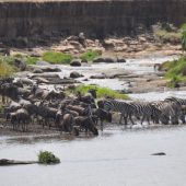  The Serengeti, TZ